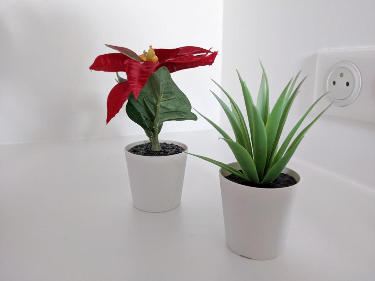 Reves Paisibles Rubis - Choisy Apartment Ngoại thất bức ảnh